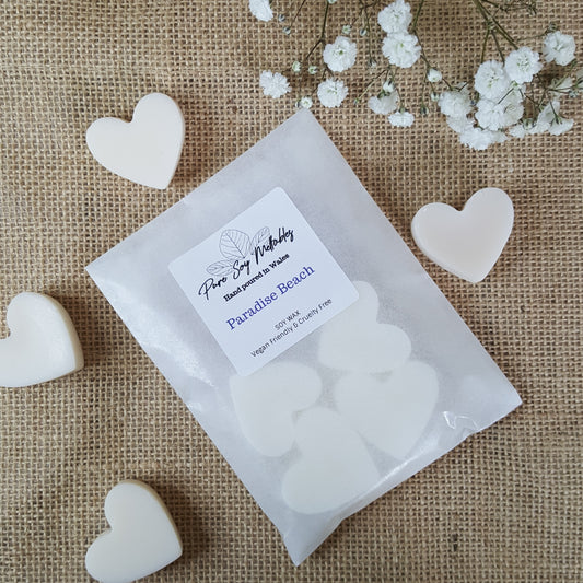 Paradise Beach Soy Wax Melts image 0