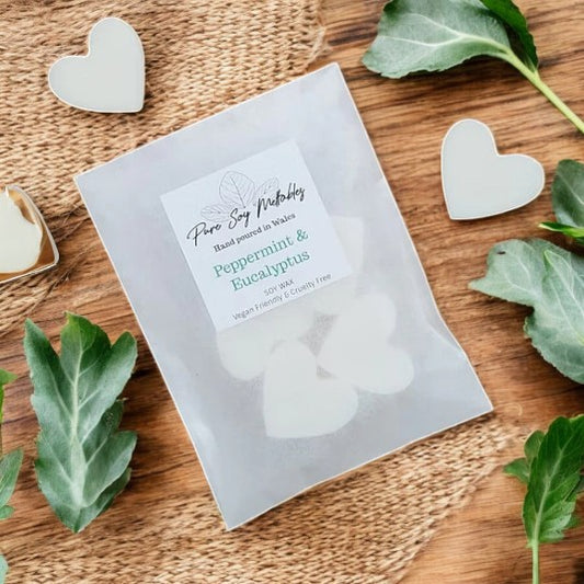 Peppermint & Eucalyptus Soy Wax Melts